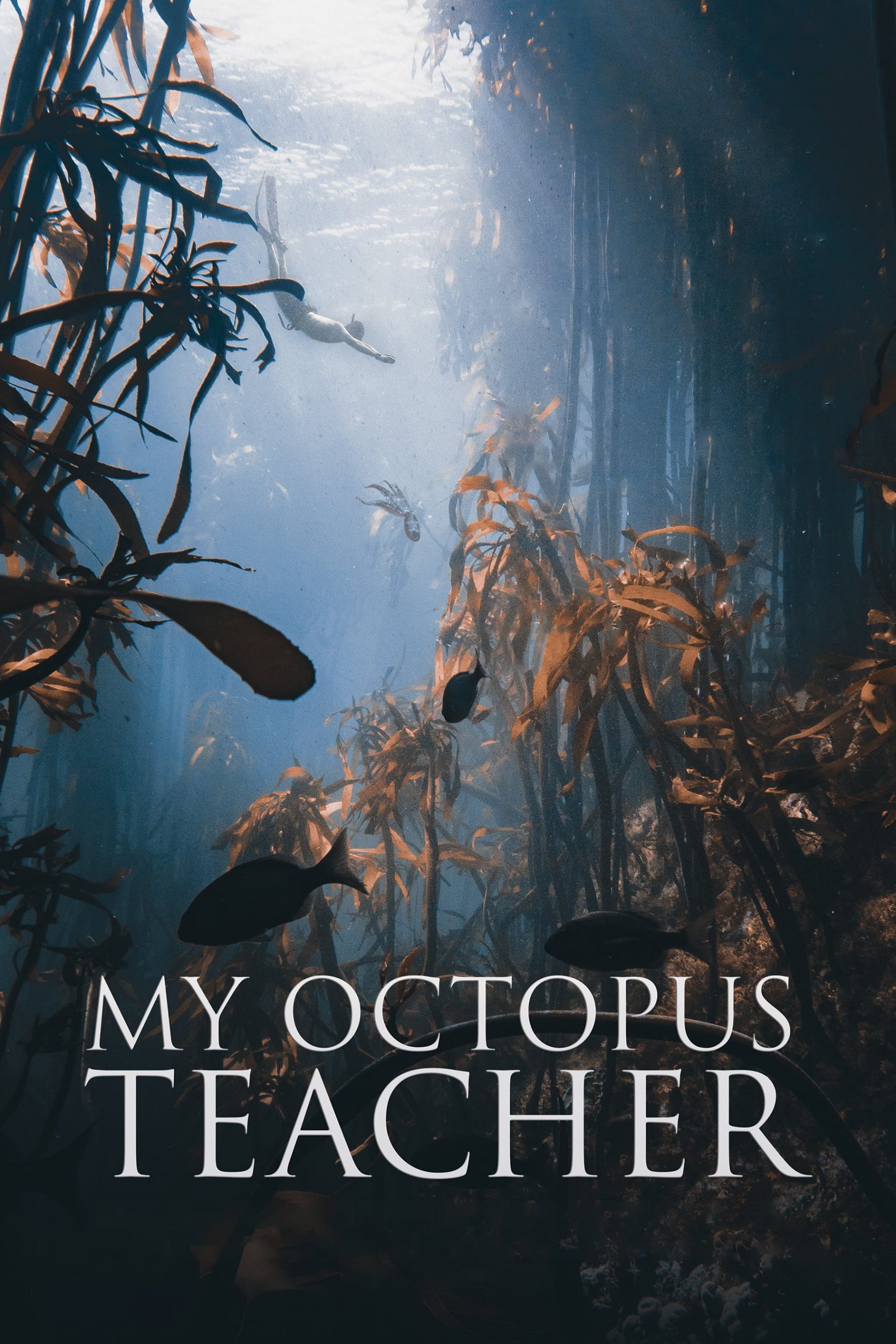 octopus teacher