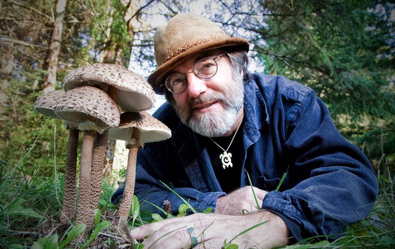 documentary Fantastic Fungi